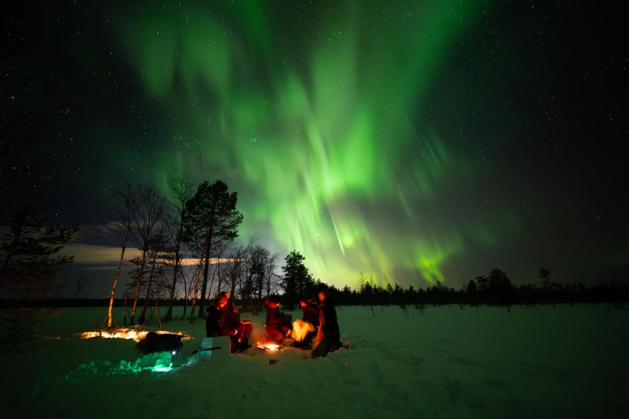 Arctic Guesthouse & Igloos Ranua Buitenkant foto