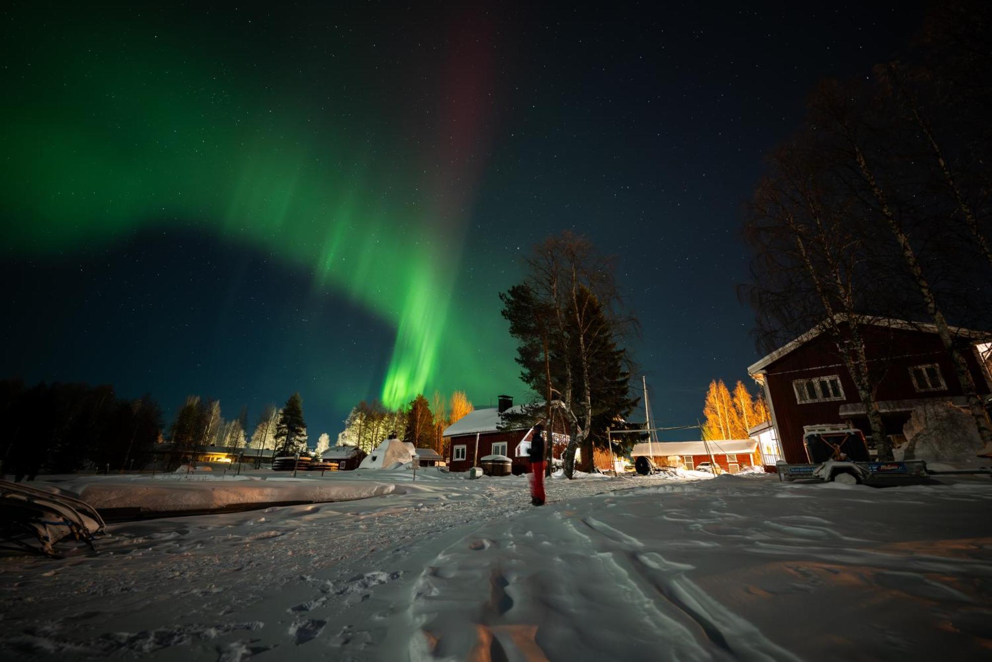 Arctic Guesthouse & Igloos Ranua Buitenkant foto